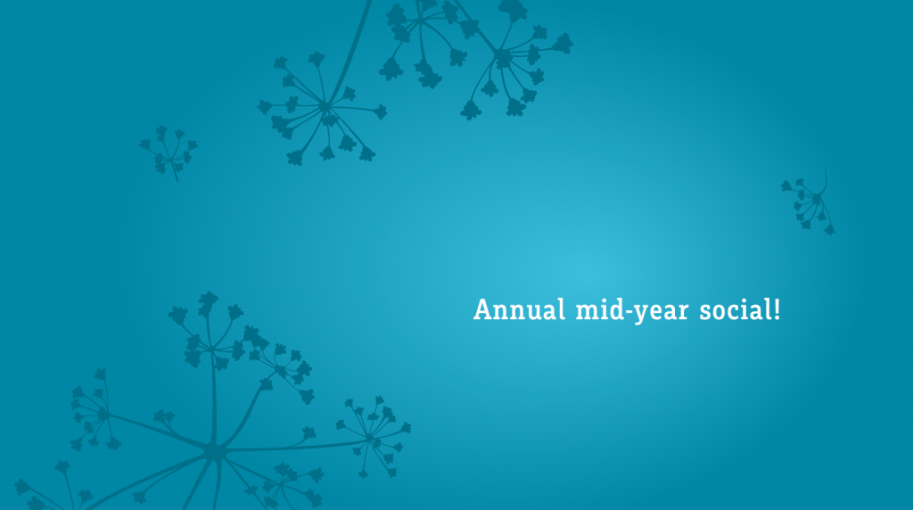 Annual mid-year social!